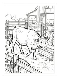 Beef Cow Exploring Rustic Farmyard