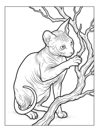 Sphynx Cat Playing With Tree Branch