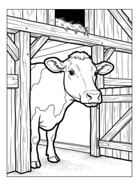 Dairy Cow Exploring Barn Entrance