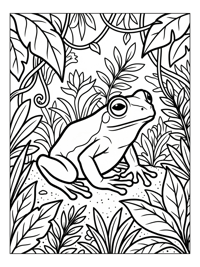 Glass Frog Watching In Tropical Jungle