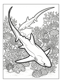 Thresher Sharks Swimming Coral Reef