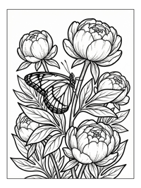 Viceroy Butterfly Rests On Peony Flowers