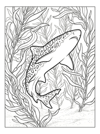Leopard Shark Breaching In Kelp Forest