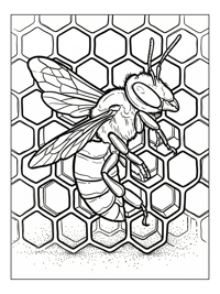 Mason Bee Dancing In Honeycomb