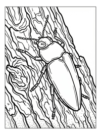 Jewel Beetle Climbing Tree Bark