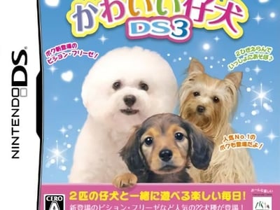 Kawaii Koinu DS 3