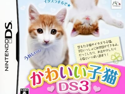 Kawaii Koneko DS 3