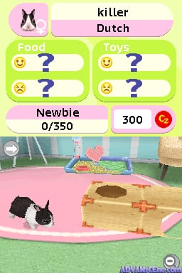 A pet care interface displays a black and white rabbit named 'killer Dutch' at the center bottom. The top shows two pink sections labeled 'Food' and 'Toys', each with two rows containing emoji faces and question marks for unknown items. Below that are status indicators showing 'Newbie 0/350' on the left and '300' points with a red circle on the right. The background depicts a room with pink flooring, wooden furniture, and a blue wall with shelving. The art style uses low-resolution 3D graphics typical of Nintendo DS games.