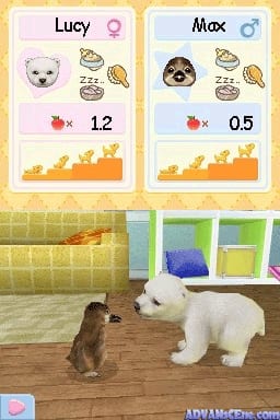 Two character cards labeled Lucy and Max appear at the top with pink and blue backgrounds respectively, each displaying a cat face icon, food items, and numerical values (1.2 and 0.5). Below, a 3D interior scene shows a brown and white kitten facing a white polar bear figure on a wooden floor, with a woven green wall hanging, storage cubes, and a blue circular UI element visible in the lower left corner.