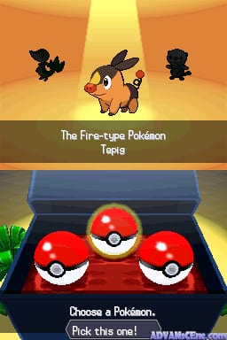 A Pokémon selection screen displays three red and white Poké balls arranged in a blue box against a red velvet interior. Above them, silhouettes of three black Pokémon float in an orange-yellow spotlit background. Text identifies the Fire-type Pokémon Tepig at center top, with smaller Tepig sprites visible in the background. A green grass tuft appears in the lower left corner. White text at the bottom reads "Choose a Pokémon" and "Pick this one!"