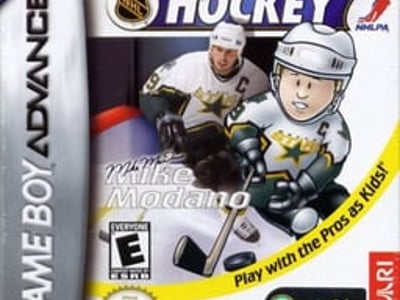 Backyard Hockey