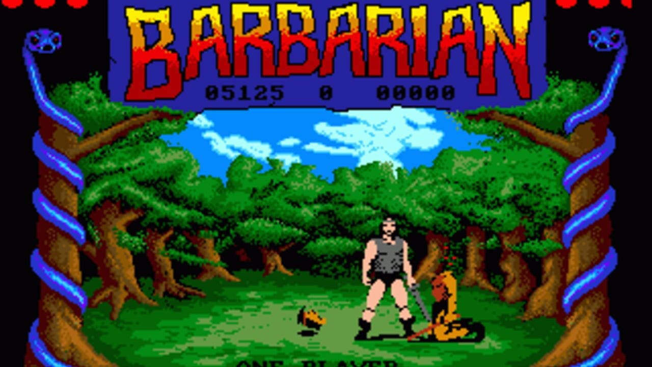A pixelated forest scene displays a muscular warrior in gray armor standing in the center of a green clearing, flanked by two small brown creatures with yellow accents. Tall brown tree trunks with green foliage frame both sides of the screen, with blue decorative vines curving along the edges. A blue sky with white clouds appears in the background. The game title "BARBARIAN" in red and yellow letters sits at the top, with a score of 051125 and 99999 displayed in the upper corners. The sprite-based graphics use a limited color palette typical of 1989 DOS era games.