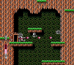 A top-down overhead view of a cavern level with a large black hollow area in the center surrounded by brown brick walls and green foliage texturing. A small white protagonist character stands in the middle of the black space. Green text labels appear throughout the level indicating item pickups or points. The left edge shows a vertical score or status bar with white text. Red brick walls frame the top and sides, with green vegetation patterns filling the background areas.