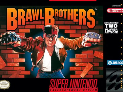 Brawl Brothers