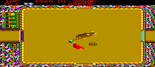 Bullfight