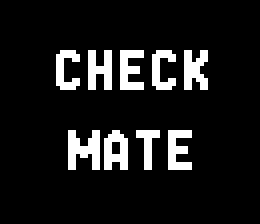 The title screen displays two lines of white pixelated text centered on a solid black background. The word 'CHECK' appears in the upper portion, with 'MATE' positioned directly below in an identical blocky font typical of 1970s arcade games. Both lines use a simple sans-serif pixel typeface rendered in bright white against the dark background.