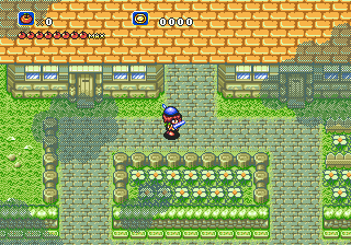 A player character in blue stands in the center of a top-down village area with brick buildings, wooden fences, and rows of crops. The HUD displays health and mana meters in the upper left corner and a score of 50000 in the upper right. The scene uses a 16-bit pixel art style with earthy brown and green tones, featuring a tiled stone path running through the grassy terrain.