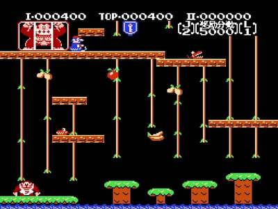 Donkey Kong JR