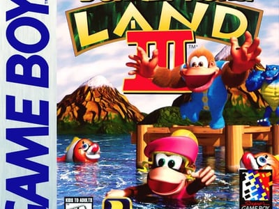 Donkey Kong Land III