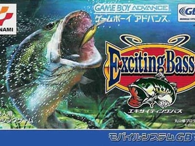 Exciting Bass