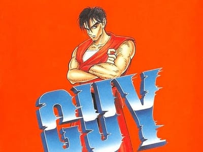 Final Fight Guy