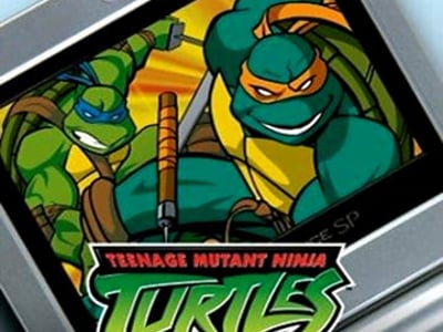Game Boy Advance Video - Teenage Mutant Ninja Turtles - Things Change