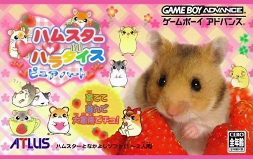 Hamster Paradise - Pure Heart