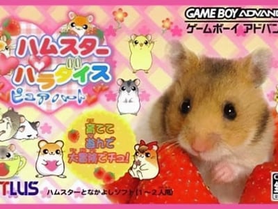 Hamster Paradise - Pure Heart