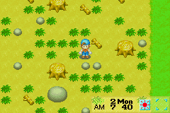 A top-down view of a farm area with a yellow-green grass background scattered with brown trees and gray boulders. A small blue-dressed character stands in the center. The bottom-right corner displays HUD elements including the current month, day, time, and character status icons in a horizontal bar format. The pixel art uses a bright, limited color palette typical of Game Boy Advance graphics.