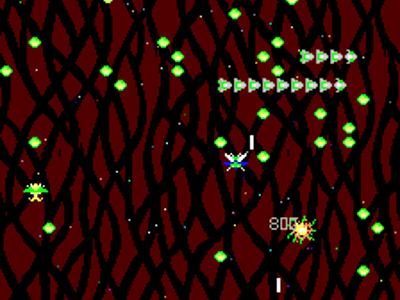 Imago
