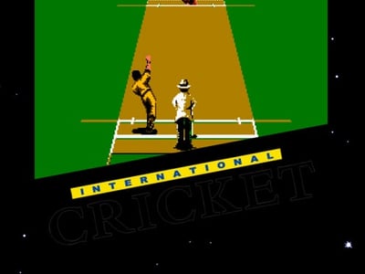 International Cricket