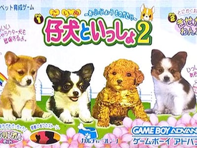 Koinu to Issho 2
