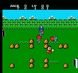 A ninja character in pink stands in the center of a green field dotted with red and yellow fruits or items scattered across the ground. Blue sky with clouds and green grass form the background, with a brown fence visible at the bottom right. A black UI bar at the top displays player statistics and character names in white text. The scene uses NES-era 8-bit pixel art with limited color palette.