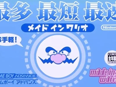 Made in Wario