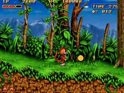 Magical Cat Adventure