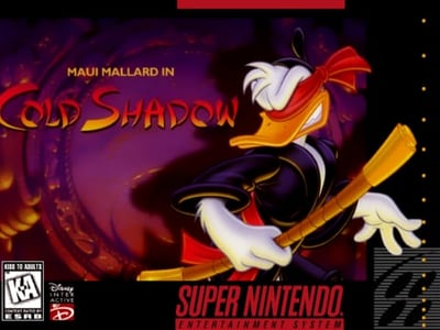 Maui Mallard in Cold Shadow