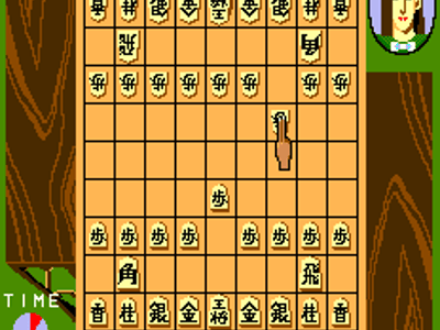 Meijinsen
