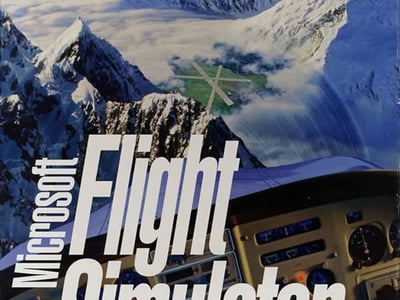 Microsoft Flight Simulator