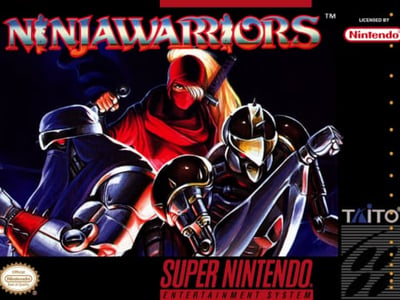 Ninja Warriors, The