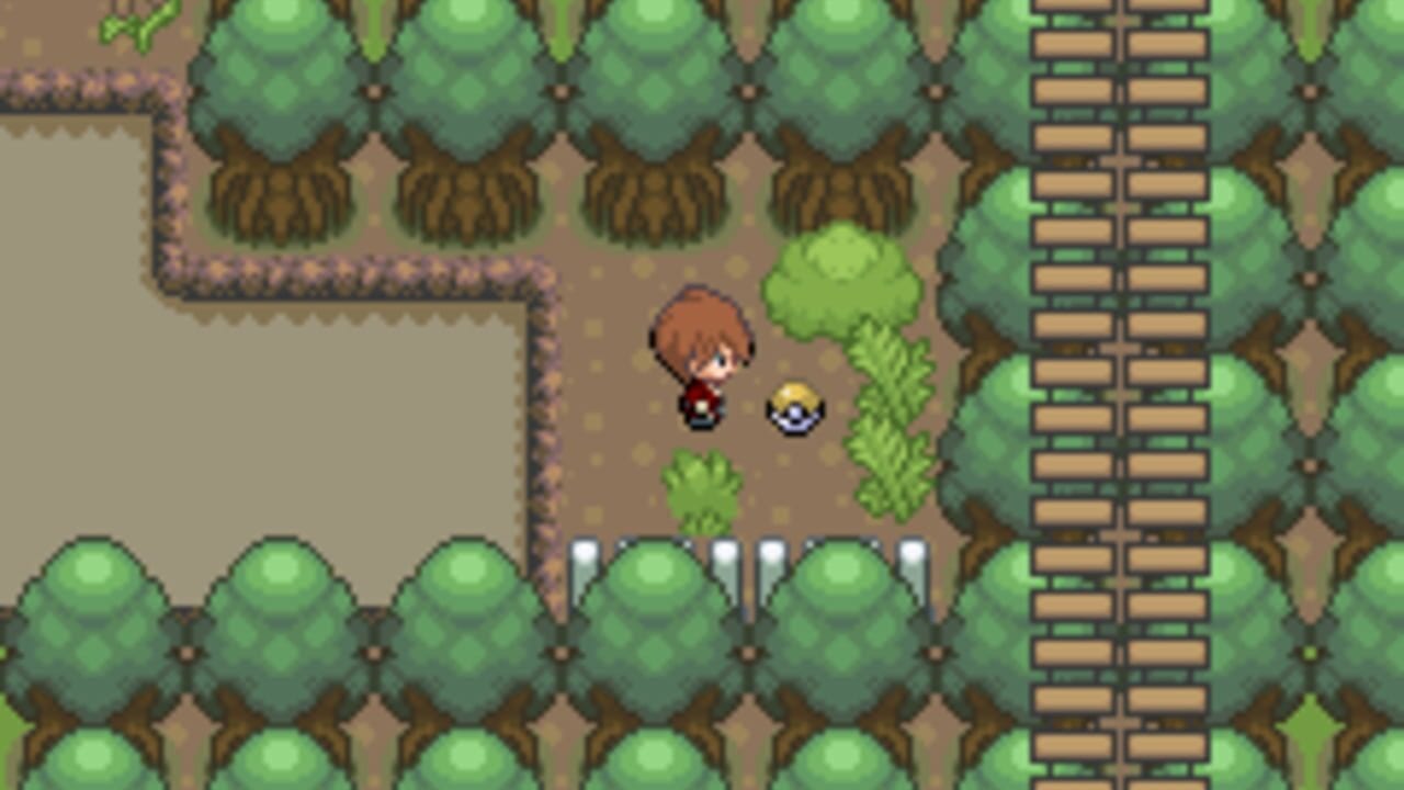 A trainer with brown hair stands on a tan dirt path in the center of the screen, accompanied by a small yellow Pokémon sprite. The scene is surrounded by green trees with brown trunks arranged in a grid pattern. A wooden structure with tan and brown horizontal planks is visible on the right side. Small green bushes and white fence posts dot the landscape. The pixel art uses a tan-brown background with vibrant green foliage, typical of Game Boy Advance sprite-based graphics.