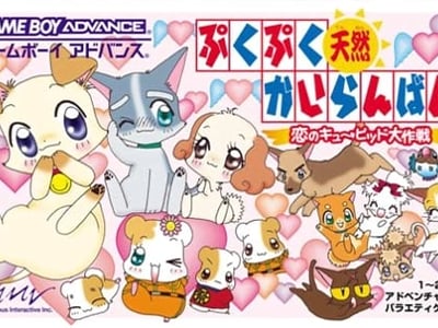 PukuPuku Tennen Kairanban - Koi no Cupid Daisakusen