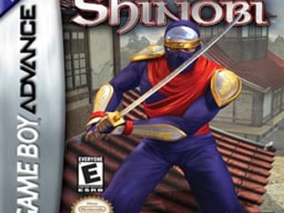 Revenge of Shinobi, The