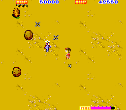 Sega Ninja