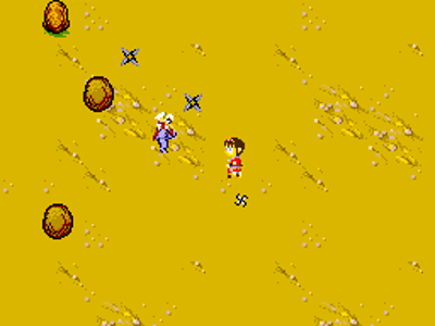 Sega Ninja