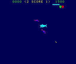 Shark Attack