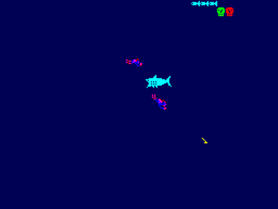 Shark Attack