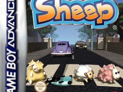 Sheep