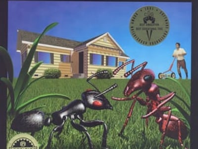 SimAnt - The Electronic Ant Colony