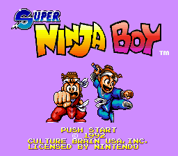 The title screen displays "Super Ninja Boy" in large yellow and orange pixelated lettering across the top portion of a bright magenta background. Below the title, two sprite characters stand side-by-side facing forward: one in red clothing on the left with a fist raised, and one in blue clothing on the right in a fighting stance. Smaller text reading "PUSH START" and "ALL USE, BRAIN USE, NG" appears centered beneath the characters in yellow and white font. A "TM" trademark symbol is positioned in the upper right corner.