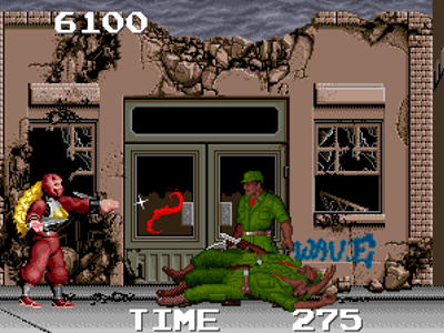 The Ninja Warriors